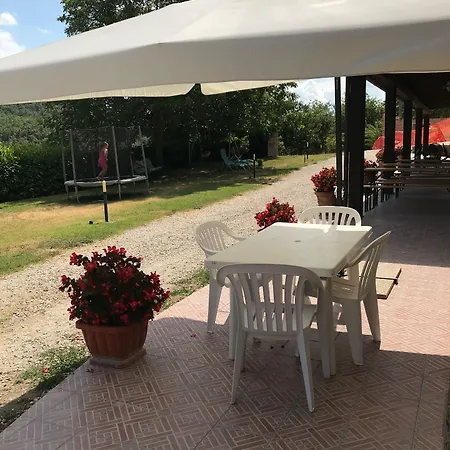 Cailuca