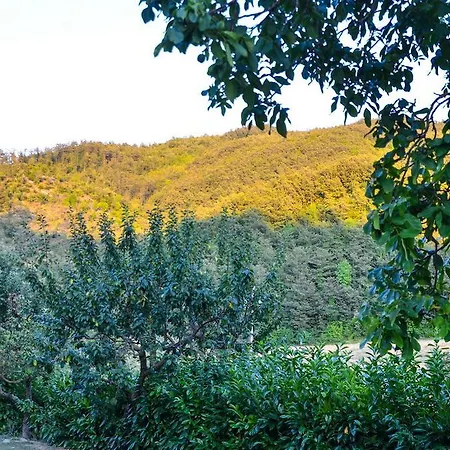 Farm stay Cailuca
