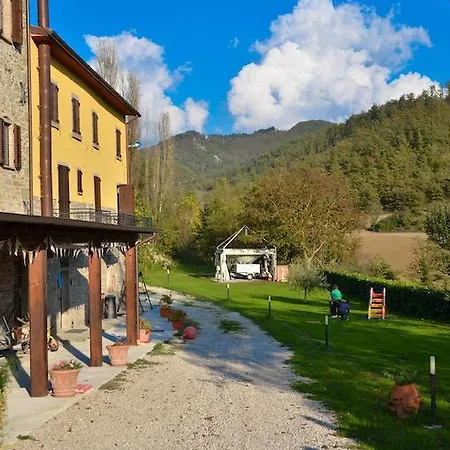 Cailuca