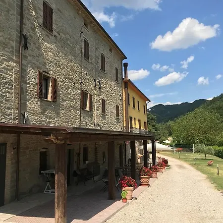 Cailuca *